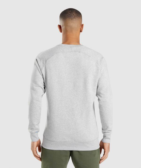 Panske Mikiny Gymshark Crest Svetlo Siva | GL8726013